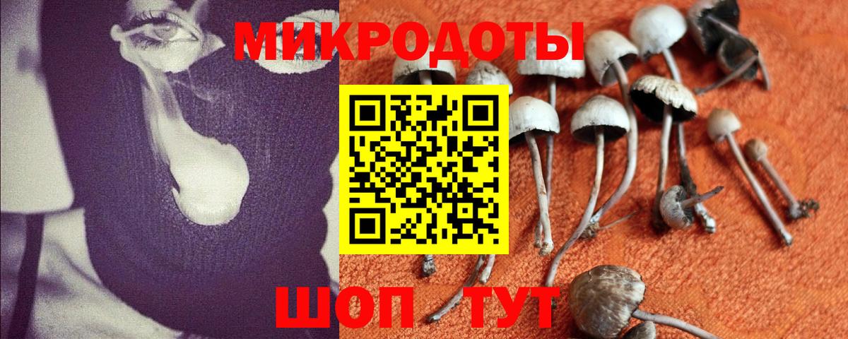 Галлюциногенные грибы ЛСД Ессентуки