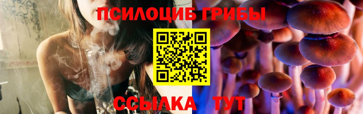 Галлюциногенные грибы прущие грибы  Вход с VPN  Ессентуки 